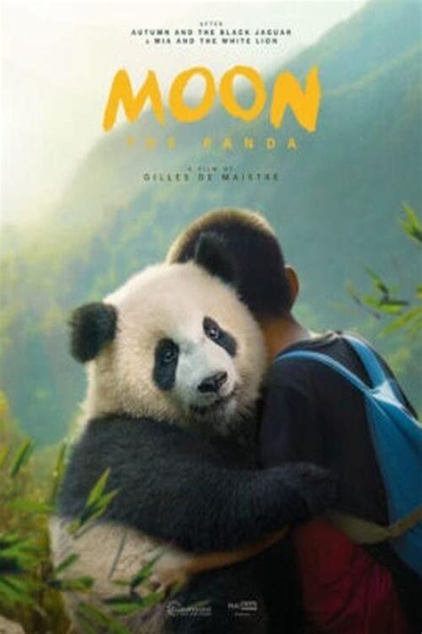 Moon le panda 2025